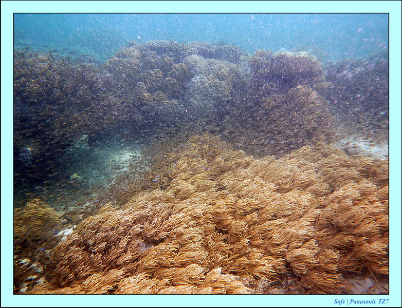 2011 - 08 - Bohey Dulang Island 31